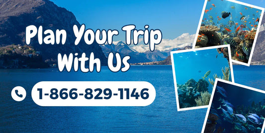 Ways to Reach Expedia Customer Service via Phone Number, Chat and Email Option Only