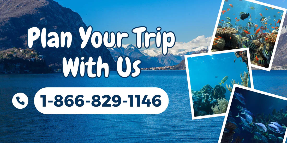 Ways to Reach Expedia Customer Service Support via Phone, Email and Chat Option: Instant Solution Guid